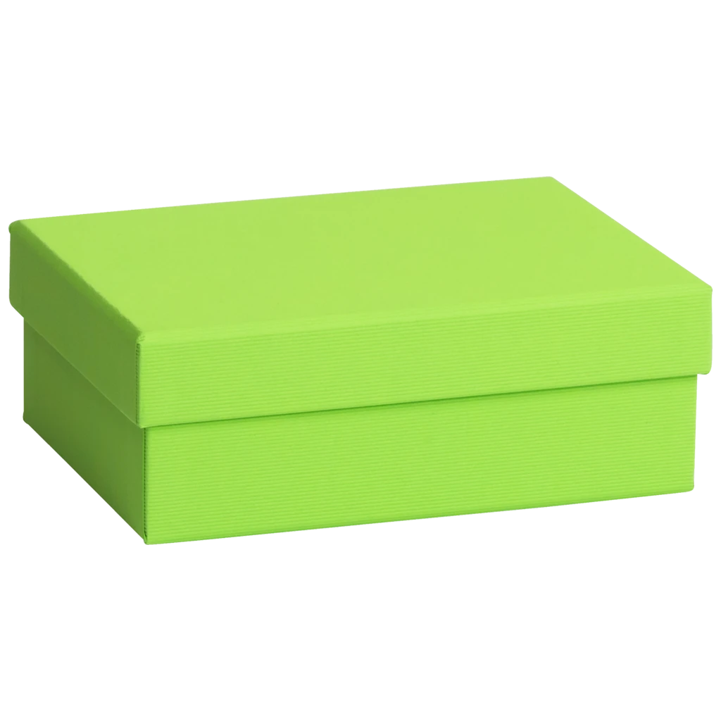 Geschenkbox One Colour | 16,5×6×12 cm, hellgrün