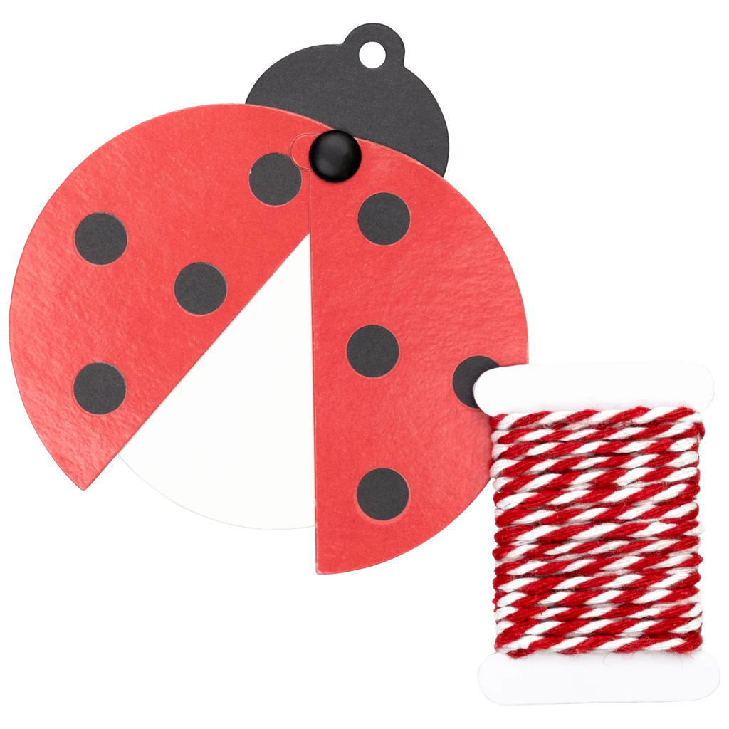 Geschenkanhänger-Set „Adela“ | rot