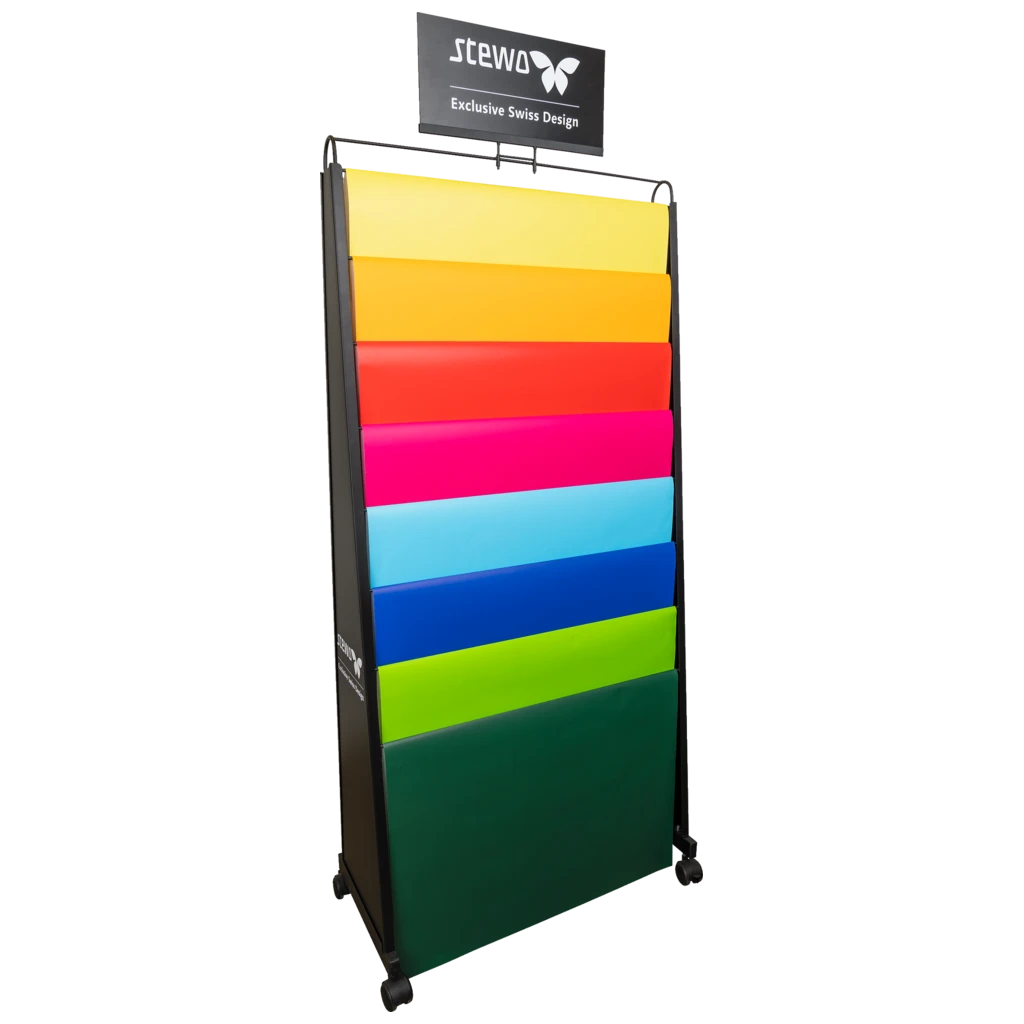 Bodendisplay „BG-Leiter 70x100“ | 750×1780×360 mm, RAL 9005, schwarz